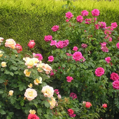 Bed and breakfast D'hotes Aux Sables D'olonne *