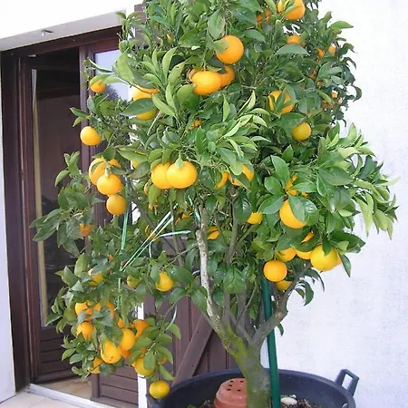 Bed and breakfast D'hotes Aux Sables D'olonne