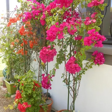 Bed and breakfast D'hotes Aux Sables D'olonne Château-dʼOlonne