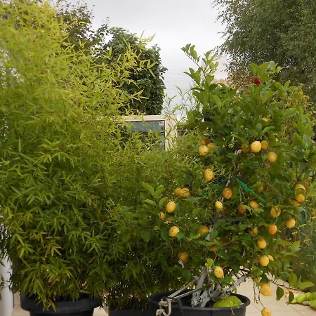 D'hotes Aux Sables D'olonne *