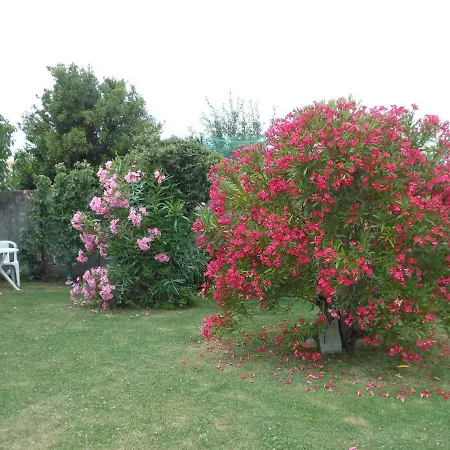 D'hotes Aux Sables D'olonne Bed and breakfast Les Sables-dʼOlonne
