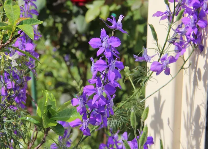 D'hotes Aux Sables D'olonne