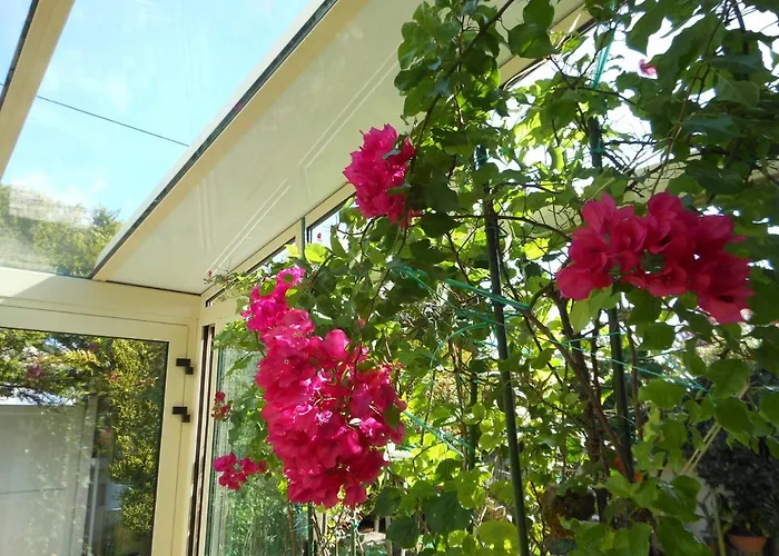 فندق مبيت وإفطار D'hotes Aux Sables D'olonne *