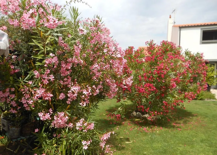 D'hotes Aux Sables D'olonne فندق مبيت وإفطار Château-dʼOlonne