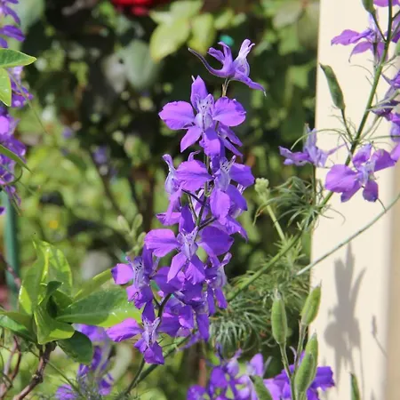 D'hotes Aux Sables D'olonne