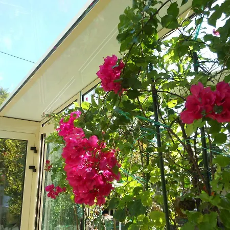 Bed and Breakfast D'hotes Aux Sables D'olonne *