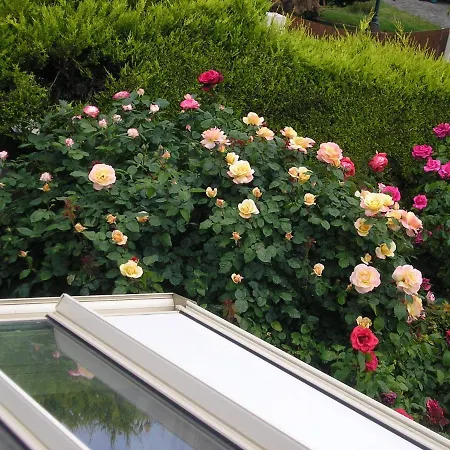 D'hotes Aux Sables D'olonne * Chateau-d'Olonne