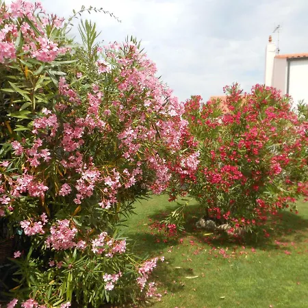 D'hotes Aux Sables D'olonne Bed and Breakfast Les Sables-dʼOlonne