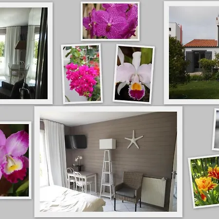 Bed & Breakfast D'hotes Aux Sables D'olonne Chateau-d'Olonne