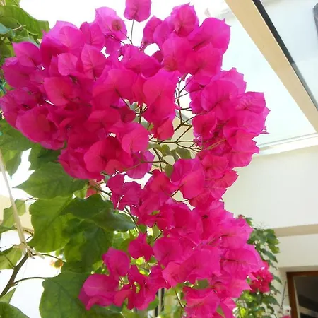 Bed and Breakfast D'hotes Aux Sables D'olonne Les Sables-dʼOlonne