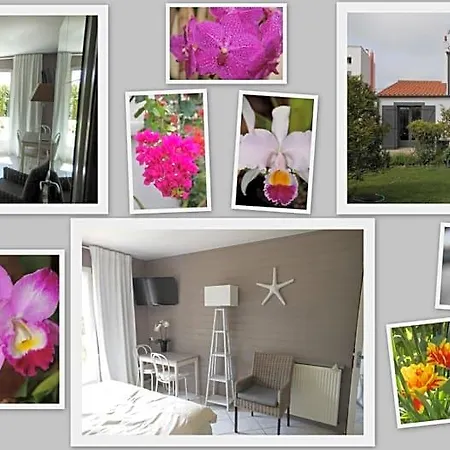 D'hotes Aux Sables D'olonne Bed & Breakfast Château-dʼOlonne