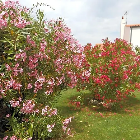 D'hotes Aux Sables D'olonne Bed & Breakfast Château-dʼOlonne