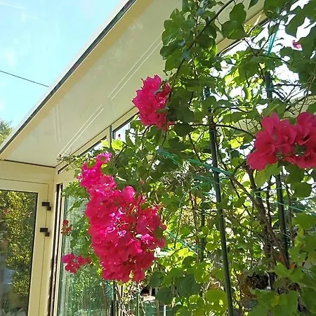 Bed & Breakfast D'hotes Aux Sables D'olonne *