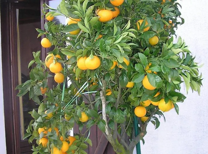 Bed & Breakfast D'hotes Aux Sables D'olonne