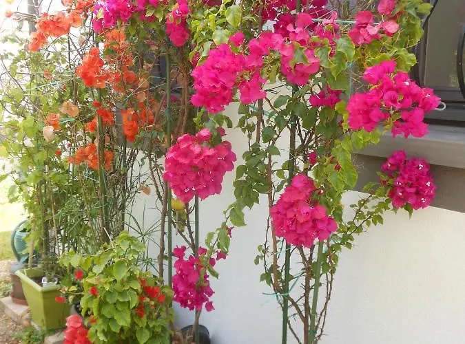 Bed & Breakfast D'hotes Aux Sables D'olonne Château-dʼOlonne