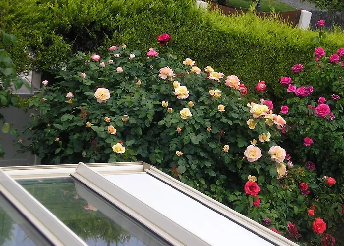 D'hotes Aux Sables D'olonne * Château-dʼOlonne