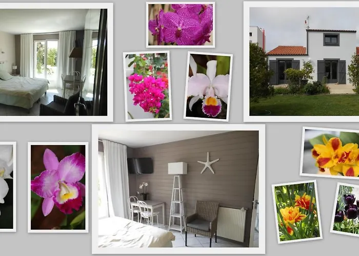 Bed & Breakfast D'hotes Aux Sables D'olonne Château-dʼOlonne