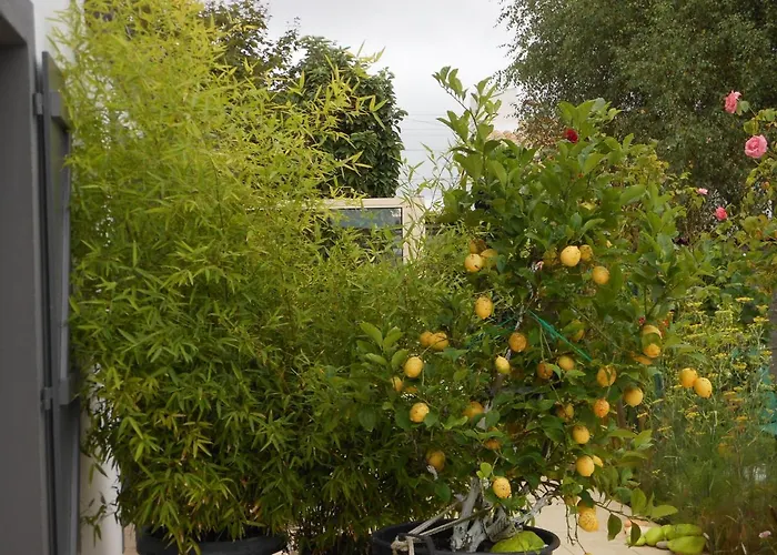 D'hotes Aux Sables D'olonne *