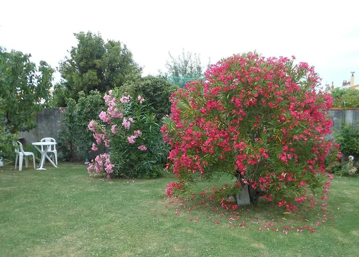 D'hotes Aux Sables D'olonne Bed & Breakfast Château-dʼOlonne