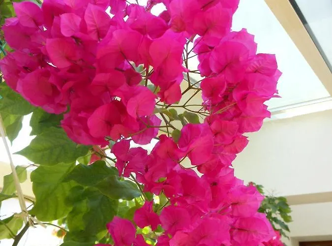 Bed & Breakfast D'hotes Aux Sables D'olonne Château-dʼOlonne